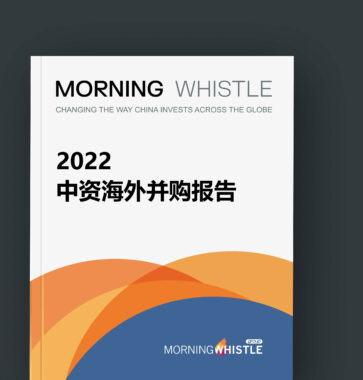 中资海外并购半年报